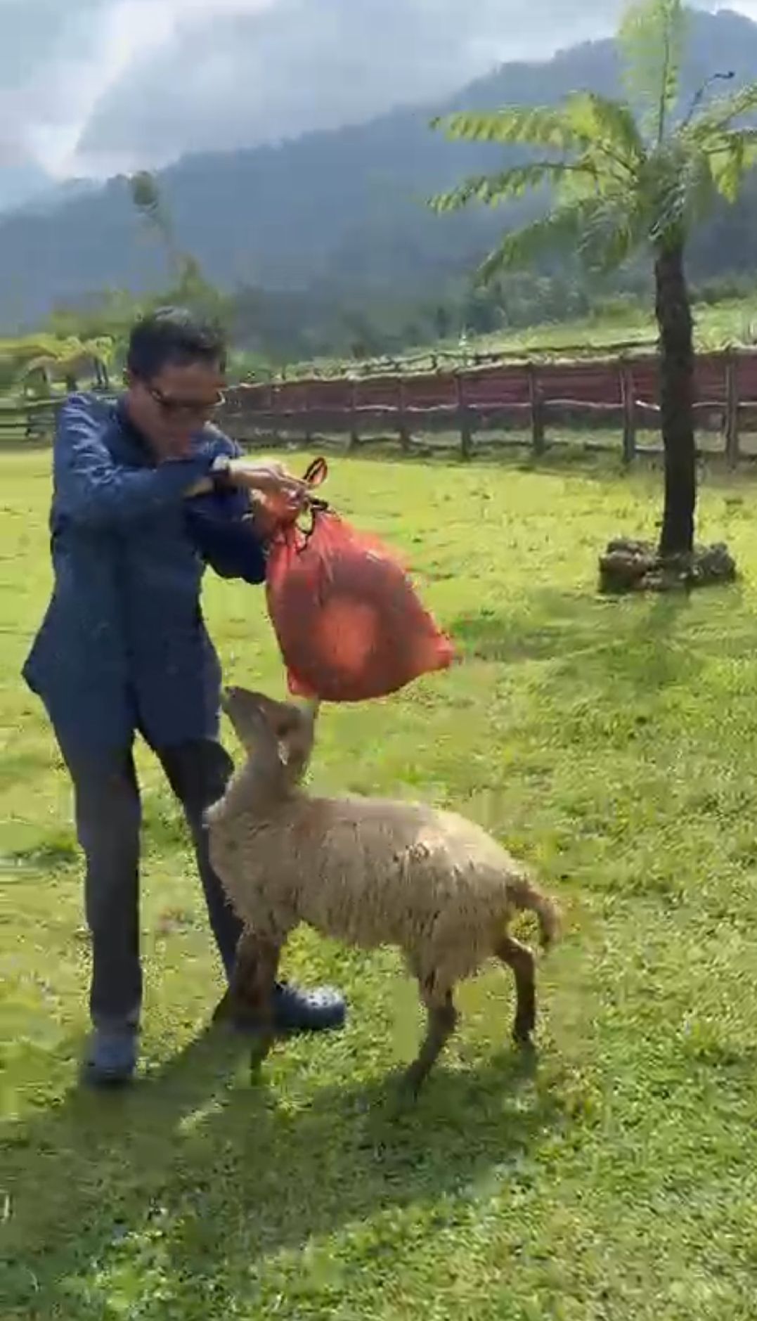 Jelajah Tualang: Dari Soto Sukaraja sampai Ketendang Kambing!